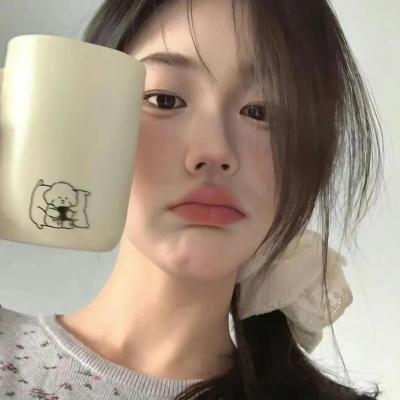 精灵高中之纽约